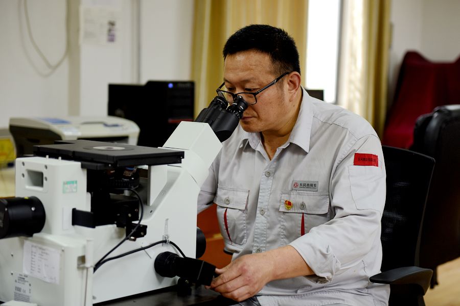 顯微觀察工作場(chǎng)景.jpg 顯微觀察工作場(chǎng)景.jpg